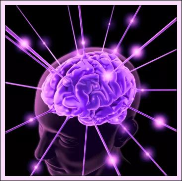 WhatsApp Image 2017-09-19 at 11.19.25 AM