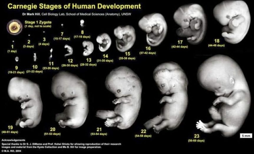 Kejadian Yang Sempurna