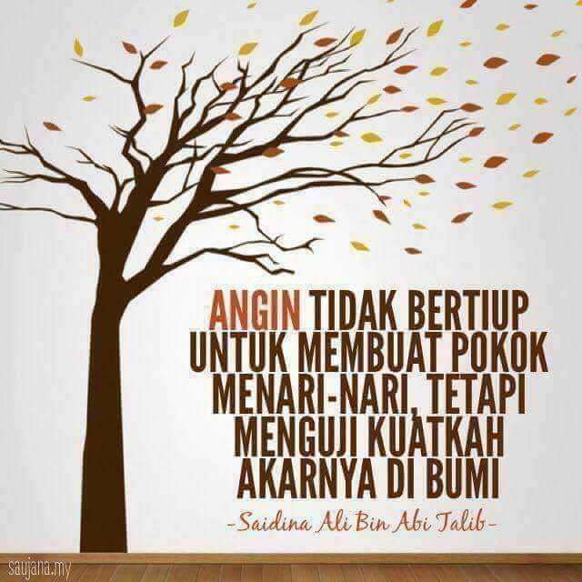 Hiduplah Seperti Akar