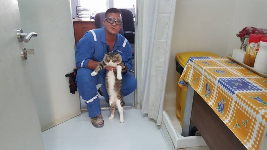 Si Peneman Setia